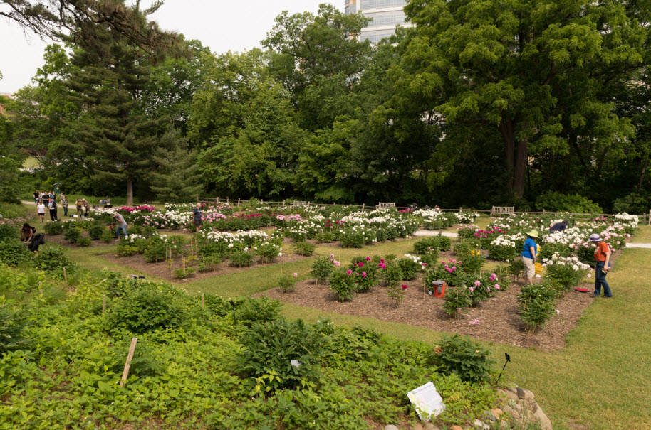 University of Michigan Nichols Arboretum, United States
